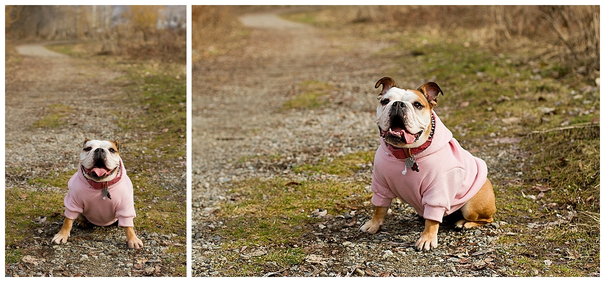 Spring-Couple-portrait-photoshoot-kelowna_0588